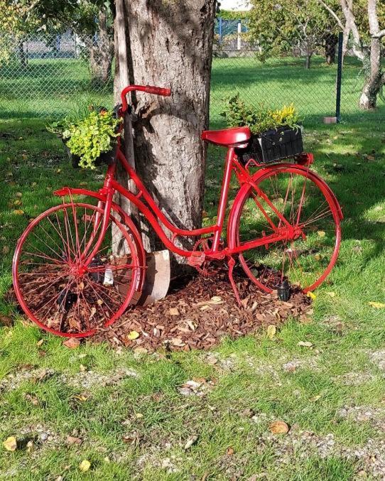 Gite Au Pommier Fleuri Et Son "Appart" Independant Drusenheim Exteriér fotografie