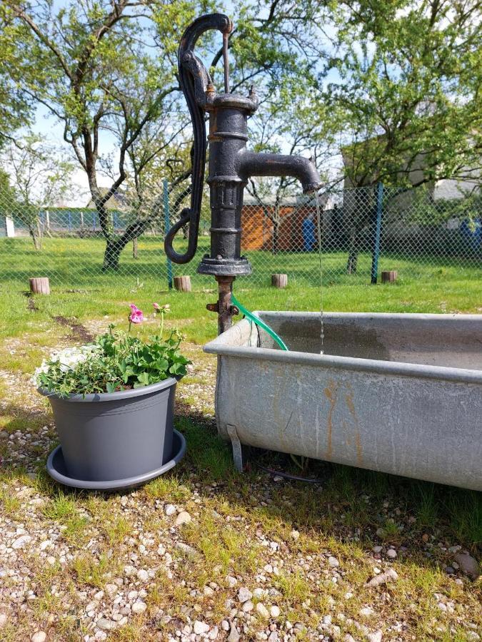 Gite Au Pommier Fleuri Et Son "Appart" Independant Drusenheim Exteriér fotografie