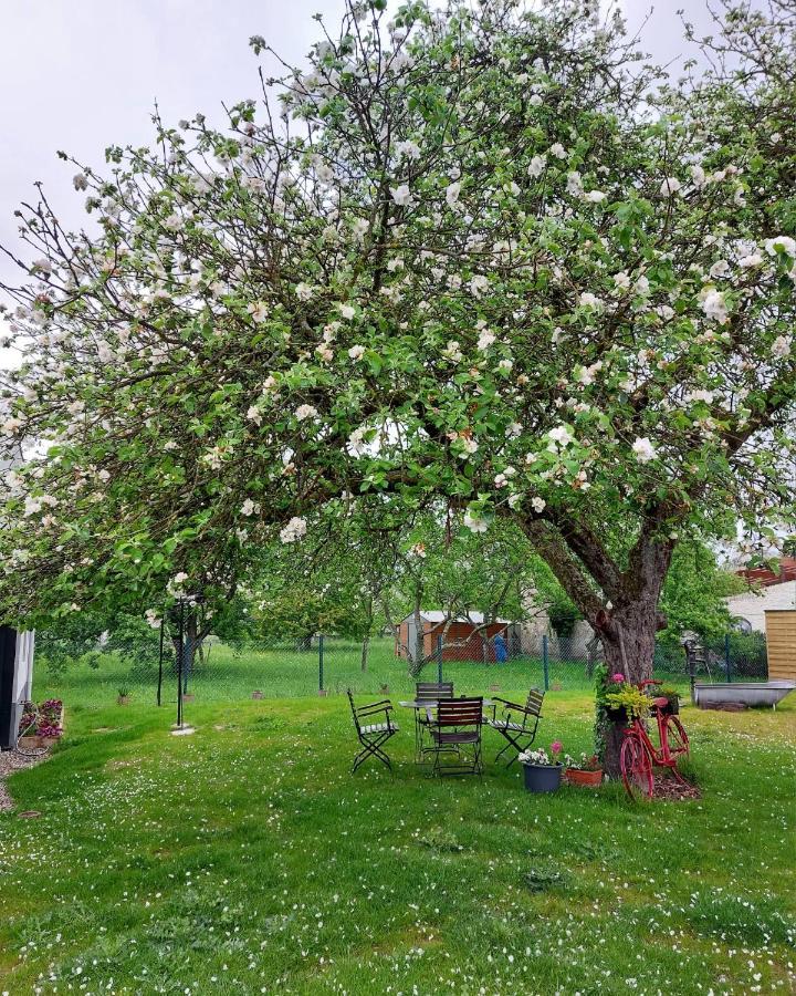 Gite Au Pommier Fleuri Et Son "Appart" Independant Drusenheim Exteriér fotografie