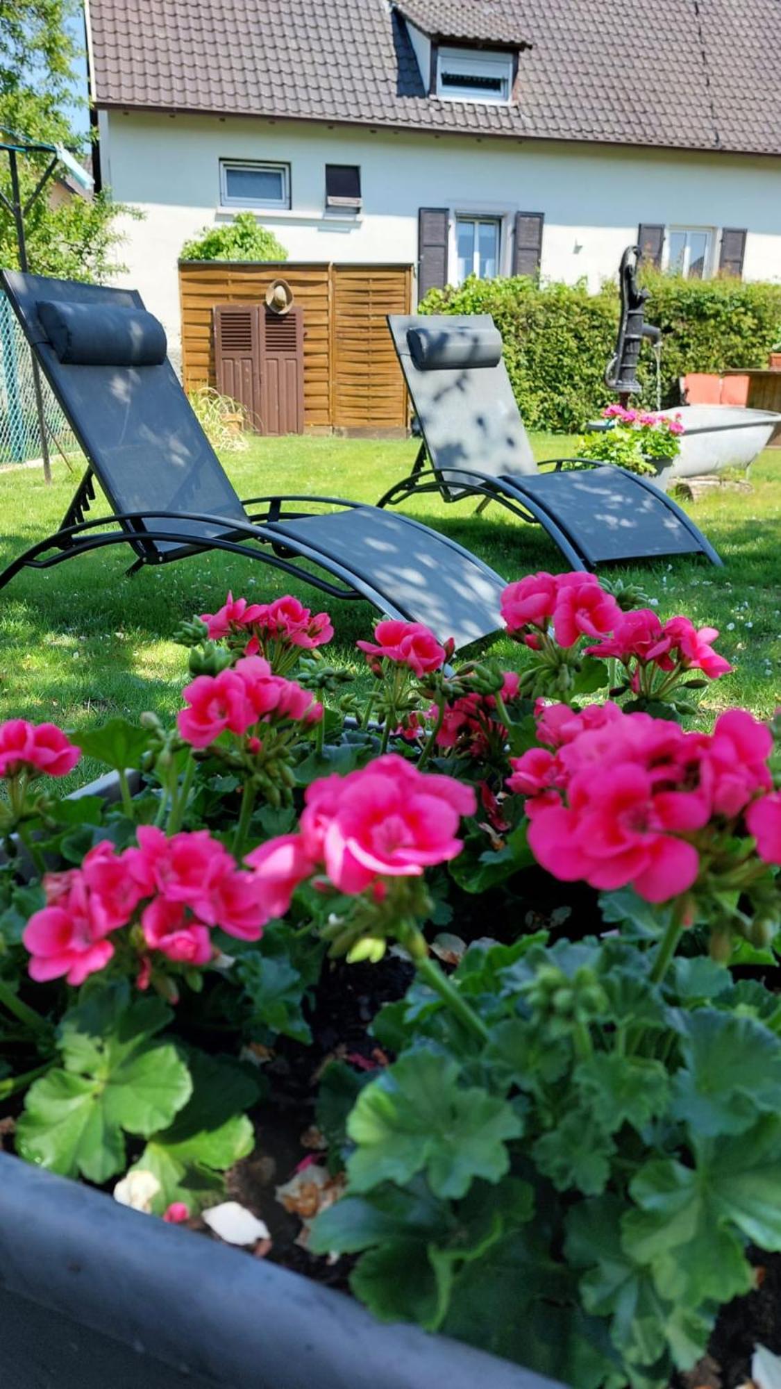 Gite Au Pommier Fleuri Et Son "Appart" Independant Drusenheim Exteriér fotografie