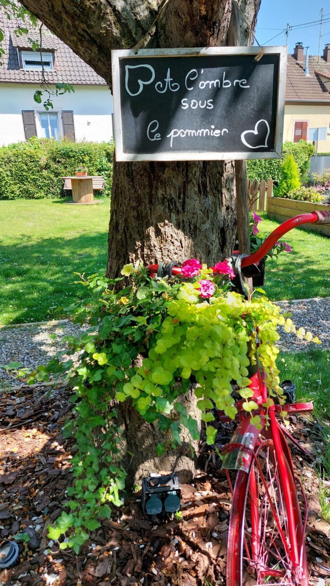 Gite Au Pommier Fleuri Et Son "Appart" Independant Drusenheim Exteriér fotografie